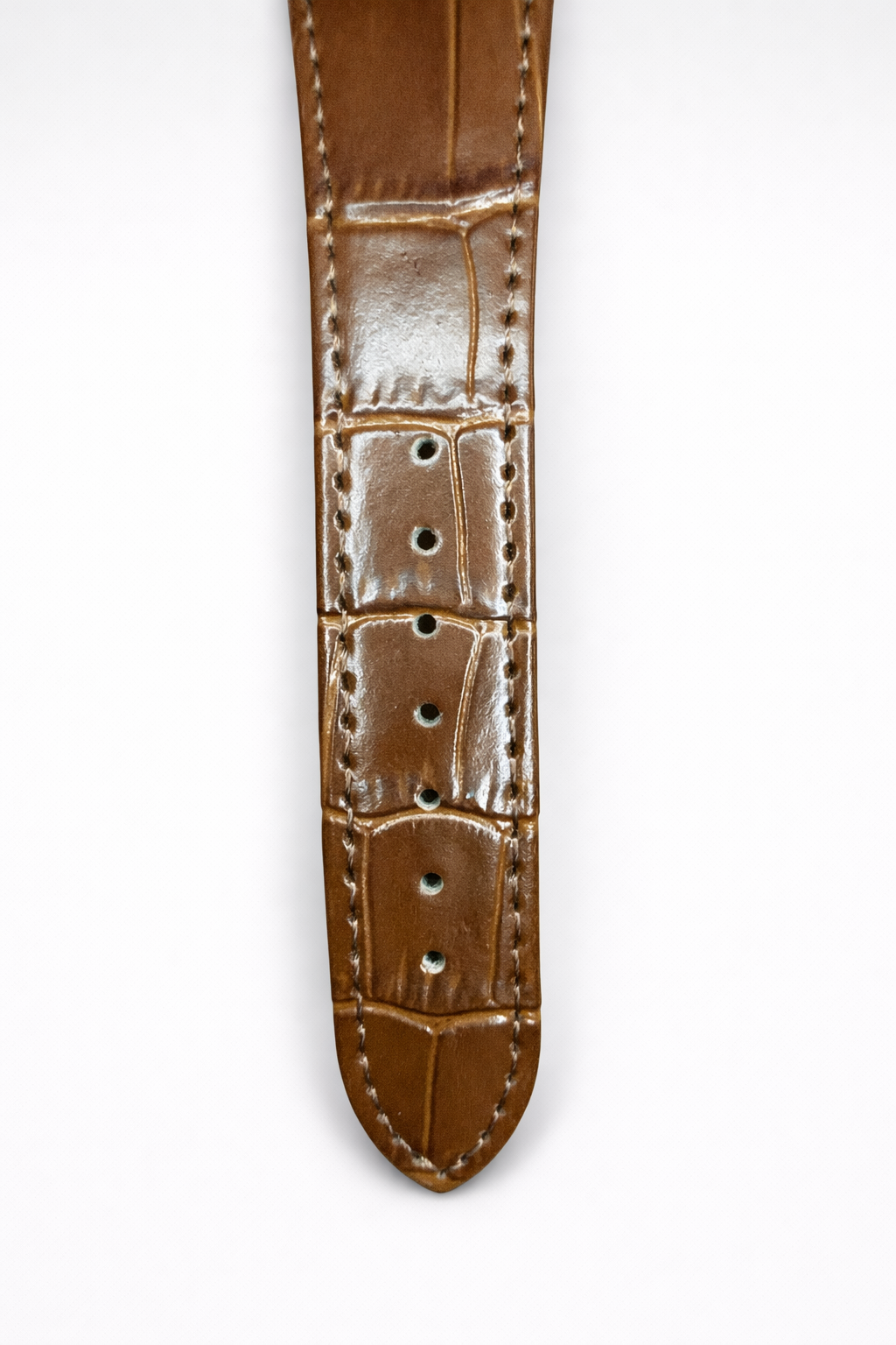 Patek Philippe Brown Strap