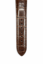 Patek Philippe Brown Strap