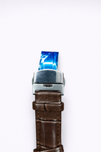 Patek Philippe Brown Strap